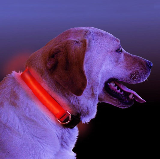 LED Lichtgevende Halsband voor Honden